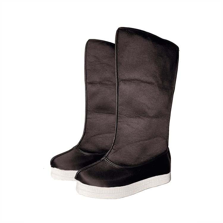 Left Side of Qing Dynasty Official Boots