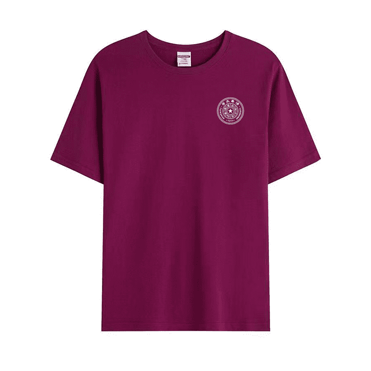 Tsinghua University T-Shirt