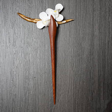 Load image into Gallery viewer, Red Zan Sandalwood Chinese Hairpins
